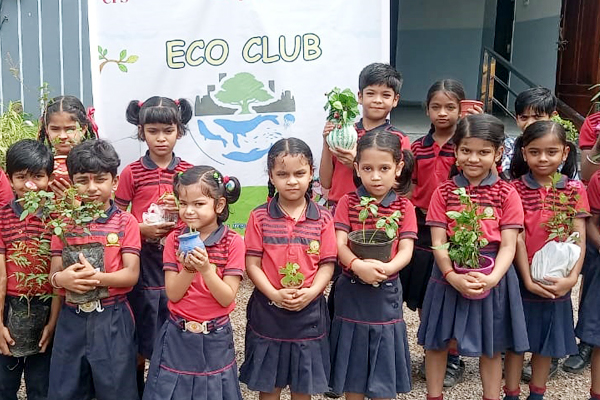 Plantation Drive